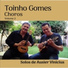 Toinho Gomes, Ausier Vinicius