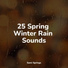 The Sleep Principle, Sleepy Night Music, Yoga Rain