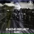 D-echo Project
