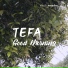 Tefa