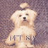 Pet Care Club