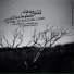 Ali Ghamsari, Mesbah Ghamsari