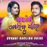 Debesh Pati feat. Amrita Nayak
