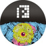 Dub Elements & Erre
