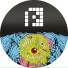 Dub Elements With Neonlight