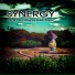 Synergy