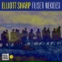 Elliott Sharp, Ensemble Musikfabrik