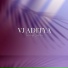 VJ Aditya