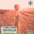 Carele Vanz