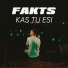 Fakts