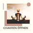 Chakra Alchemie