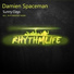 Damien Spaceman