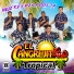 El Cangrejito Tropical de Felipe V. Torres