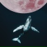Watch for Whales