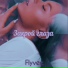 Flyvee