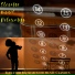 Elevator Background Music Classics