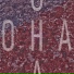 SamoTa