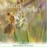 Relaxing Zen Nature