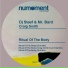 Mr. Bard, Dj Steef