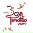 Don Timoteo