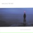 Archetribe