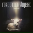 Forgotten Sunrise