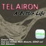 Telairon