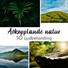 Naturliga Ljudterapi Masters
