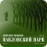 Сплин