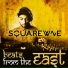 DJ Squarewave