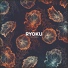 Ryoku feat. Nvns