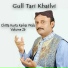 Gul Tari Khailvi