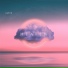VAPYM