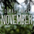 Dimast Wb