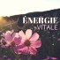 Pensée Positive Project