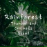 Rainfall For Sleep