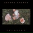 Anyone Anyway
