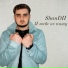 ShanDII