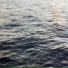David Pfeffer