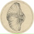Fossil Archive aka Roberto & Jamie Anderson