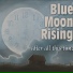 Blue Moon Rising