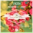 FL Plus Music