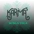 Karma5 feat. Audius