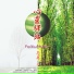 Yang Xin Yin Le-Xin