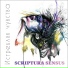 SCRIPTURA SENSUS