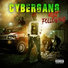 Cybergang
