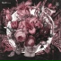 Skeltr feat. Sam Healey, Craig Hanson