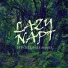 Lazy Napt