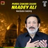 Hassan Sadiq
