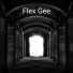 Flex Gee